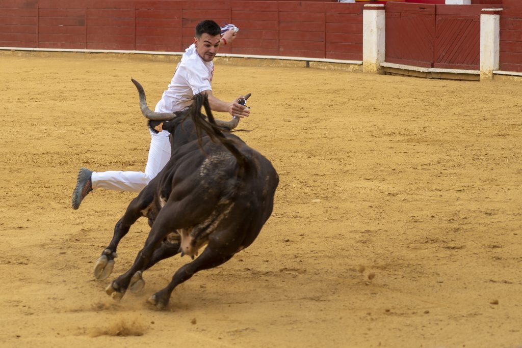 TAURINO